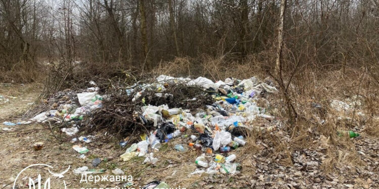 На Коростенщині екологи виявили сміттєзвалище між селами | Журнал Житомира