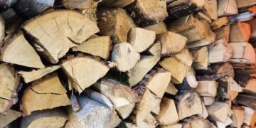Нетішинка дарма заплатила завдаток за дрова —Хмельнитчина