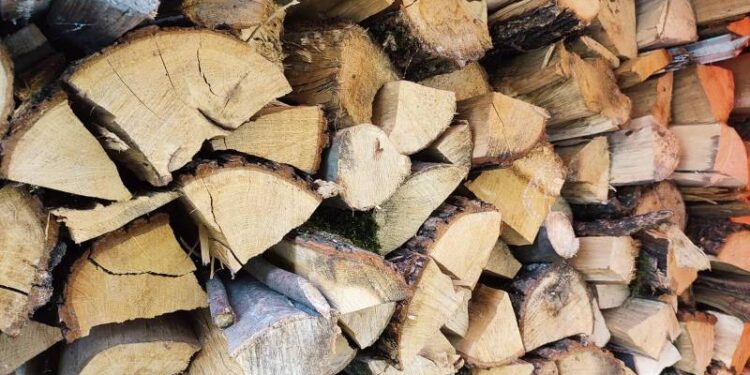 Нетішинка дарма заплатила завдаток за дрова —Хмельнитчина