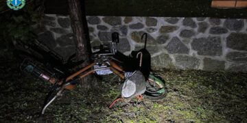 Отримав вирок водій, який насмерть збив літнього велосипедиста та втік —Хмельнитчина