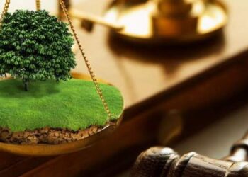 Продали очисні споруди та відмили гроші: на Миколаївщині виявили оборудки з землею :: Інтент :: Суспільно-політичне видання:: Регіональна мережа якісної журналістики