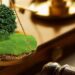 Продали очисні споруди та відмили гроші: на Миколаївщині виявили оборудки з землею :: Інтент :: Суспільно-політичне видання:: Регіональна мережа якісної журналістики