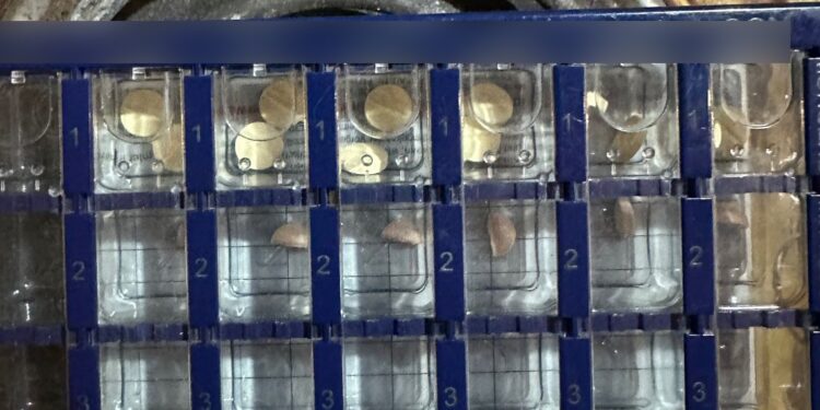 Рівнянин організував нарковиробництво у багатоповерхівці