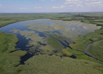 Справу про захоплення землі нацпарку на Одещині передали до суду :: Інтент :: Суспільно-політичне видання:: Регіональна мережа якісної журналістики