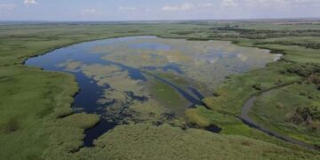Справу про захоплення землі нацпарку на Одещині передали до суду :: Інтент :: Суспільно-політичне видання:: Регіональна мережа якісної журналістики