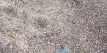 Тіло людини виявив чоловік у Трибухівцях Чортківського району – справою займається поліція