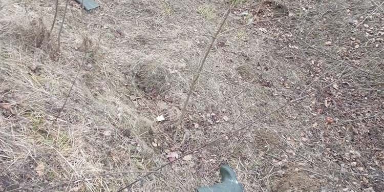 Тіло людини виявив чоловік у Трибухівцях Чортківського району – справою займається поліція