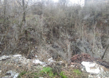 У Дніпровському районі Запоріжжя екологи виявили незаконне звалище у понад три тисячі квадратних метри | Новости Запорожья