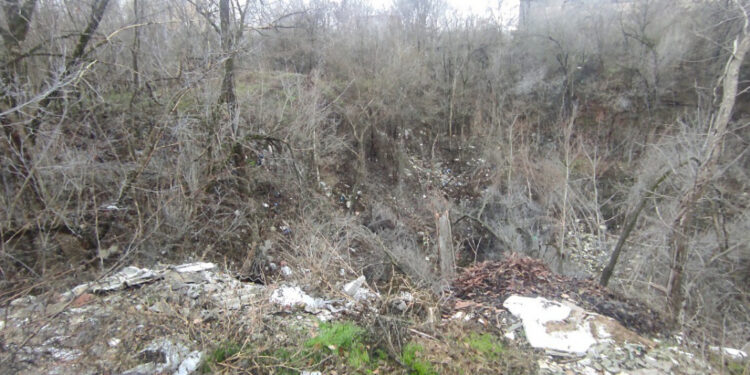 У Дніпровському районі Запоріжжя екологи виявили незаконне звалище у понад три тисячі квадратних метри | Новости Запорожья