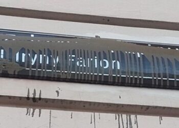 У Львові знайшли юнаків, які пошкодили табличку вулиці імені Ірини Фаріон