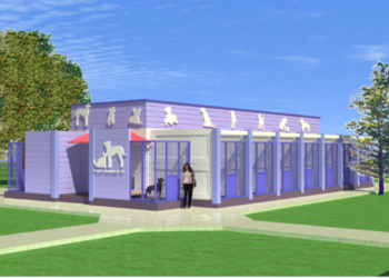 У Запоріжжі планують побудувати комунальний притулок для тварин – влада шукає інвесторів | Новости Запорожья