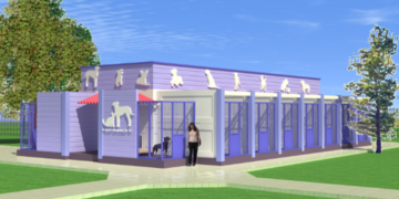 У Запоріжжі планують побудувати комунальний притулок для тварин – влада шукає інвесторів | Новости Запорожья