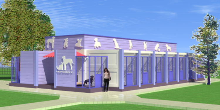 У Запоріжжі планують побудувати комунальний притулок для тварин – влада шукає інвесторів | Новости Запорожья