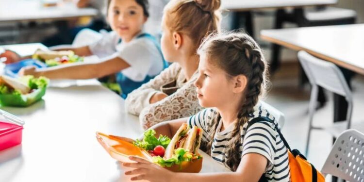 В усіх шкільних їдальнях Тернополя встановили валідатори: за якими правилами тепер оплачувати обіди | Терміново новини Тернополя