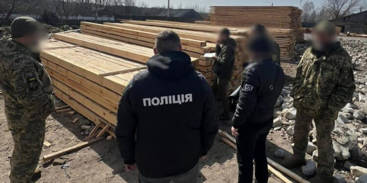 За незаконну вирубку дерев судитимуть групу лісорубів: завдали збитків на майже 800 тисяч гривень | Журнал Житомира