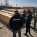 За незаконну вирубку дерев судитимуть групу лісорубів: завдали збитків на майже 800 тисяч гривень | Журнал Житомира