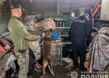 Запоріжець зберігав боєприпаси у власному будинку – поліція відкрила провадження | Новости Запорожья