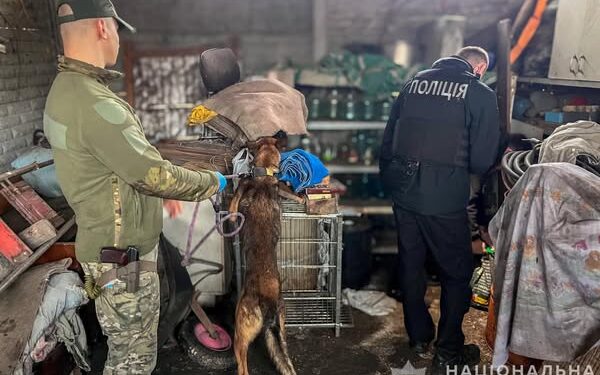 Запоріжець зберігав боєприпаси у власному будинку – поліція відкрила провадження | Новости Запорожья