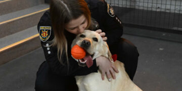 Запорізькі поліцейські собаки працюють каністерапевтами – що це за напрямок та чим він цікавий | Новости Запорожья