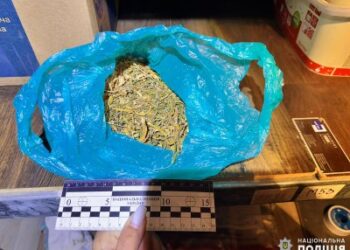 Зберігав вибухові пристрої та наркозілля – слідчі поліції повідомили про підозру мешканцю Миколаївського району » Миколаївський Оглядач