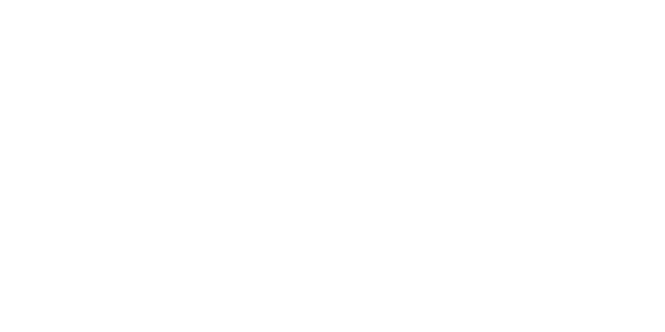 ﻿Пидручный досрочно стал участником масс-старта на чемпионате мира | Биатлон |