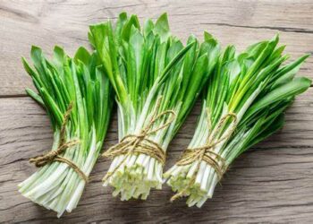 На Кіровоградщині штрафують за продаж червонокнижних рослин – ЭКОНОМИКА