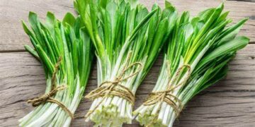 На Кіровоградщині штрафують за продаж червонокнижних рослин – ЭКОНОМИКА