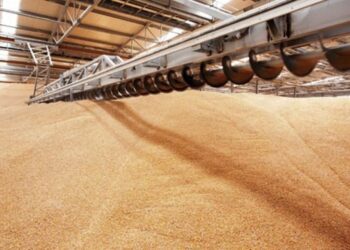 На Одещині судитимуть керівника компанії-експортера аграрної продукції – ЭКОНОМИКА