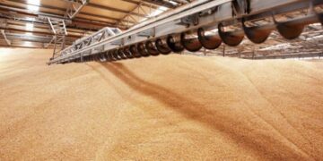 На Одещині судитимуть керівника компанії-експортера аграрної продукції – ЭКОНОМИКА