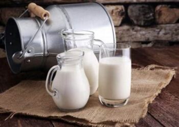 В Європі прогнозують скорочення виробництва молока – ЭКОНОМИКА