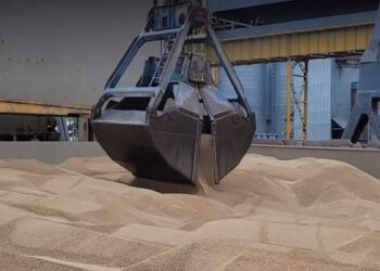 Бюро економічної безпеки викрило агрофірму з Миколаївщини на шахрайстві :: Інтент :: Суспільно-політичне видання:: Регіональна мережа якісної журналістики