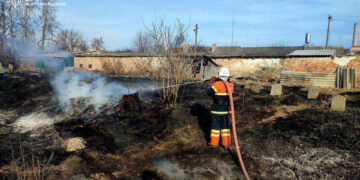 Цифра дня: 200 тисяч гривень штрафу сплатили на Житомирщині палії сухої трави | Журнал Житомира