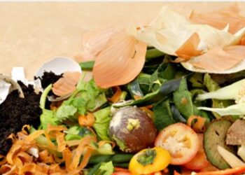 Які відходи з кухні стануть найкращим органічним добривом для саду – ЭКОНОМИКА