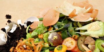 Які відходи з кухні стануть найкращим органічним добривом для саду – ЭКОНОМИКА