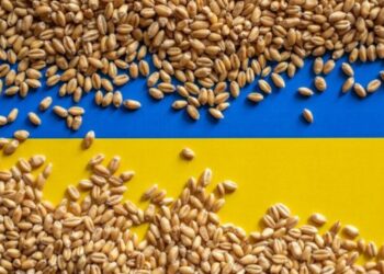 Україна відправила чергову партію гуманітарної допомоги до Сирії – ЭКОНОМИКА