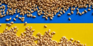 Україна відправила чергову партію гуманітарної допомоги до Сирії – ЭКОНОМИКА