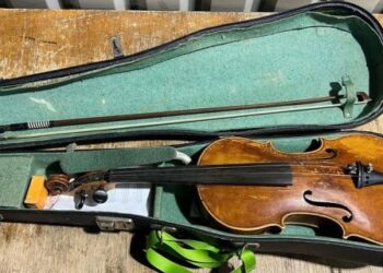 Киянка намагалася вивезти з України старовинну скрипку