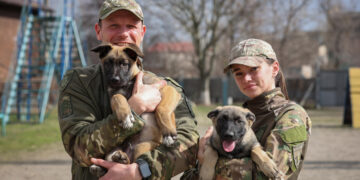 Кінологічний центр поліції Запоріжжя поповнився чотирма цуценятами – в майбутньому допомагатимуть правоохоронцям шукати вибухівку, наркотики та зниклих людей | Новости Запорожья
