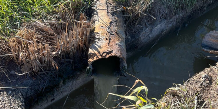 Коростишівський водоканал має зупинити скид стоків у Тетерів – рішення суду | Журнал Житомира