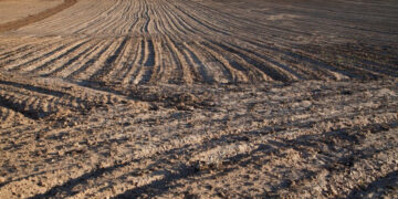 Майже 100 га повернуто ліцею на Житомирщині: землю використовувало підприємство | Журнал Житомира