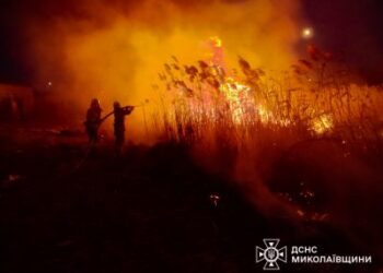 Масові пожежі на Миколаївщині: за добу вигоріло 55 га сухостою та заповідна зона » Миколаївський Оглядач