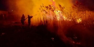 Масові пожежі на Миколаївщині: за добу вигоріло 55 га сухостою та заповідна зона » Миколаївський Оглядач