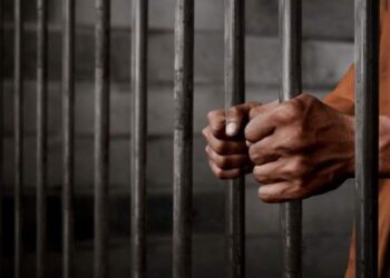 Мешканець Миколаївщини отримав 6 років за антиукраїнську пропаганду :: Інтент :: Суспільно-політичне видання:: Регіональна мережа якісної журналістики