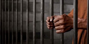 Мешканець Миколаївщини отримав 6 років за антиукраїнську пропаганду :: Інтент :: Суспільно-політичне видання:: Регіональна мережа якісної журналістики