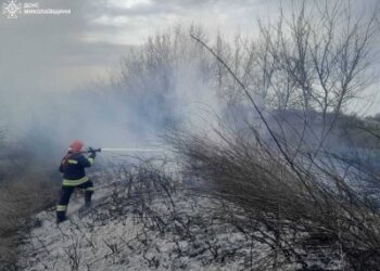 Миколаївська область: за чергову добу вогнеборці ліквідували 19 пожеж » Миколаївський Оглядач