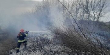 Миколаївська область: за чергову добу вогнеборці ліквідували 19 пожеж » Миколаївський Оглядач