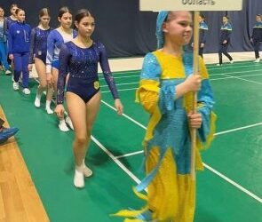 Миколаївські спортсмени здобули низку нагород Кубка України зі стрибків на батуті » Миколаївський Оглядач