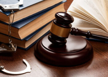 На Буковині викрили незаконну порубку дерев на понад 21 мільйон гривень – Экономика