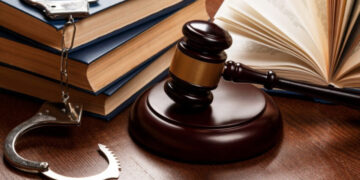 На Буковині викрили незаконну порубку дерев на понад 21 мільйон гривень – Экономика