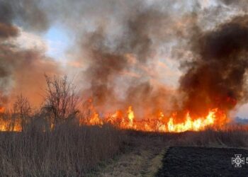 На Черкащині протягом дня сталося 70 пожеж